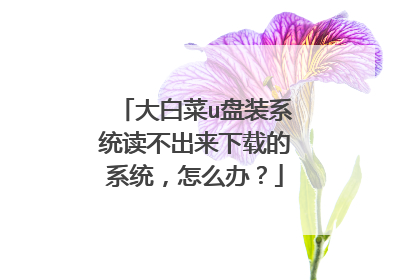 大白菜u盘装系统读不出来下载的系统,怎么办?