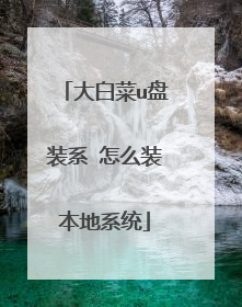大白菜u盘装系 怎么装本地系统