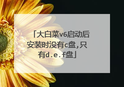 大白菜v6启动后安装时没有c盘,只有d.e.f盘