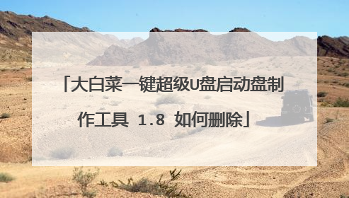大白菜一键超级U盘启动盘制作工具 1.8 如何删除