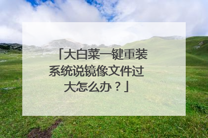 大白菜一键重装系统说镜像文件过大怎么办?