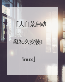 大白菜启动盘怎么安装linux