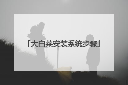 大白菜安装系统步骤