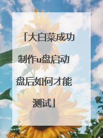 大白菜成功制作u盘启动盘后如何才能测试