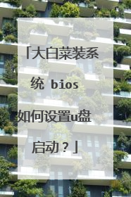 大白菜装系统 bios如何设置u盘启动？