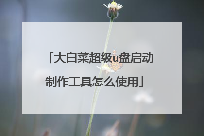 大白菜超级u盘启动制作工具怎么使用