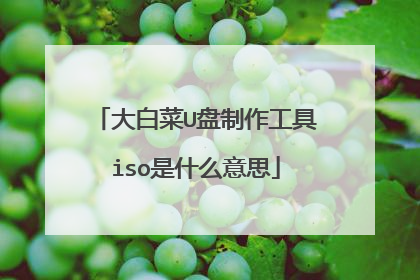 大白菜U盘制作工具iso是什么意思