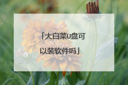 大白菜U盘可以装软件吗