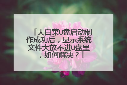 大白菜U盘启动制作成功后,显示系统文件大放不进U盘里,如何解决?