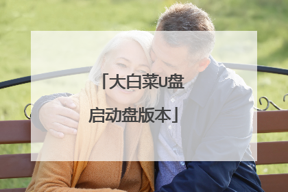大白菜U盘启动盘版本