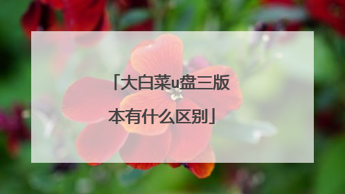 大白菜u盘三版本有什么区别