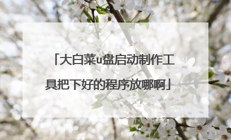 大白菜u盘启动制作工具把下好的程序放哪啊