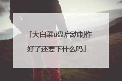 大白菜u盘启动制作好了还要下什么吗
