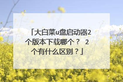 大白菜u盘启动器2个版本下载哪个? 2个有什么区别?