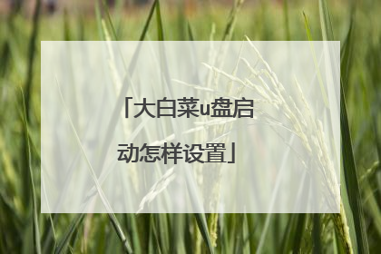 大白菜u盘启动怎样设置