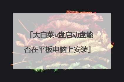 大白菜u盘启动盘能否在平板电脑上安装