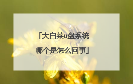 大白菜u盘系统 哪个是怎么回事