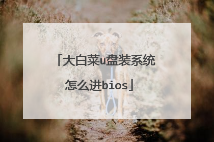 大白菜u盘装系统怎么进bios