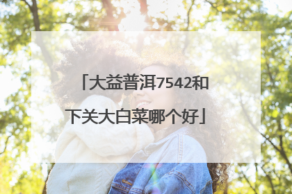 大益普洱7542和下关大白菜哪个好