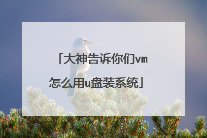 大神告诉你们vm怎么用u盘装系统
