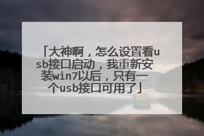 大神啊,怎么设置看usb接口启动,我重新安装win7以后,只有一个usb接口可用了