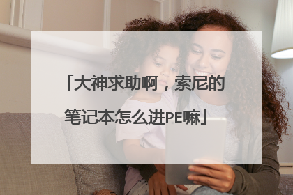 大神求助啊,索尼的笔记本怎么进PE嘛