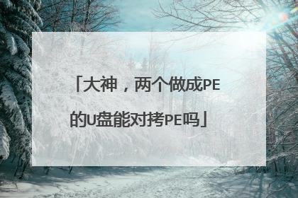 大神,两个做成PE的U盘能对拷PE吗