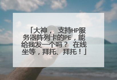 大神， 支持HP服务器阵列卡的PE，能给我发一个吗？ 在线坐等，拜托、拜托！
