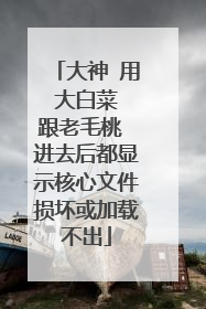大神 用 大白菜 跟老毛桃 进去后都显示核心文件损坏或加载不出