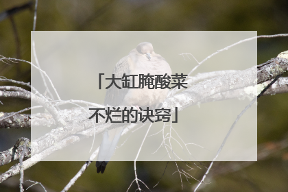 大缸腌酸菜不烂的诀窍