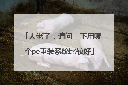 大佬了,请问一下用哪个pe重装系统比较好