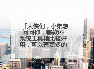 大侠们，小弟想问问你，哪款PE系统工具箱比较好用，可以有更多的工具来维护自己的计算机？