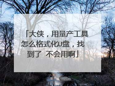 大侠,用量产工具怎么格式化U盘,找到了 不会用啊