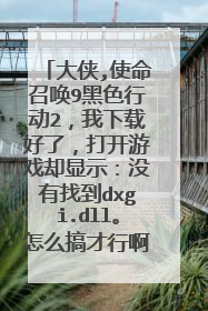 大侠,使命召唤9黑色行动2,我下载好了,打开游戏却显示:没有找到dxgi.dll。怎么搞才行啊??