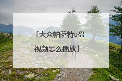 大众帕萨特u盘视频怎么播放