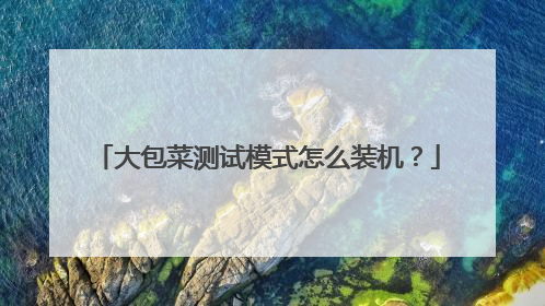 大包菜测试模式怎么装机?