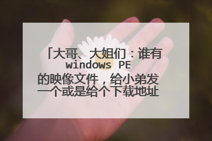 大哥、大姐们:谁有windows PE的映像文件,给小弟发一个或是给个下载地址。谢谢了。。。。。