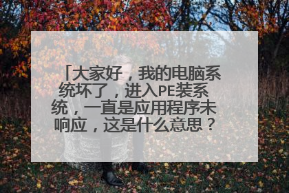 大家好，我的电脑系统坏了，进入PE装系统，一直是应用程序未响应，这是什么意思？电脑坏了吗？