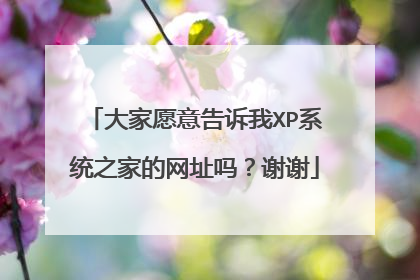大家愿意告诉我XP系统之家的网址吗?谢谢