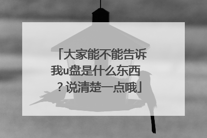大家能不能告诉我u盘是什么东西?说清楚一点哦