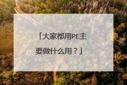 大家都用PE主要做什么用?