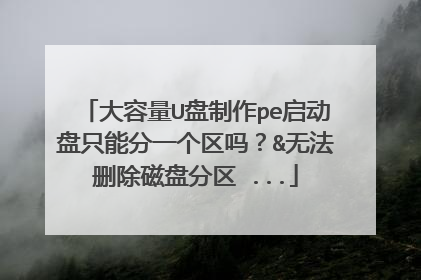 大容量U盘制作pe启动盘只能分一个区吗？&无法删除磁盘分区 ...