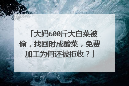大妈600斤大白菜被偷,找回时成酸菜,免费加工为何还被拒收?