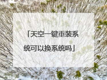 天空一键重装系统可以换系统吗