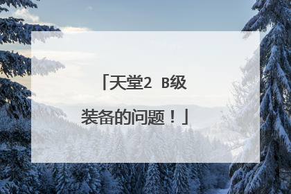 天堂2 B级装备的问题!