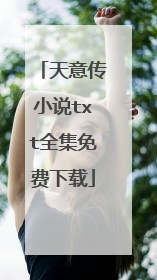 天意传小说txt全集免费下载