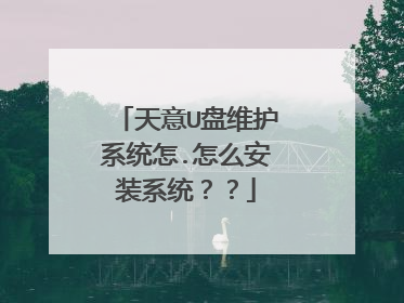 天意U盘维护系统怎.怎么安装系统??