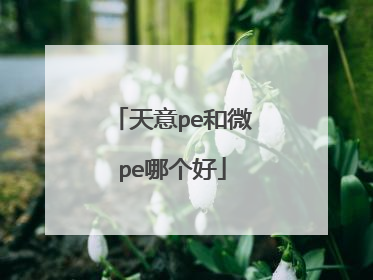 天意pe和微pe哪个好