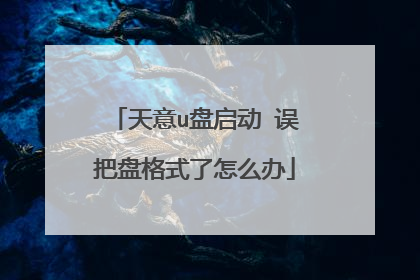 天意u盘启动 误把盘格式了怎么办