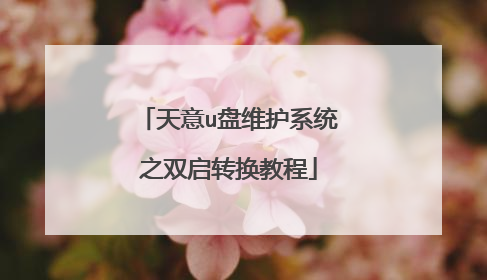 天意u盘维护系统之双启转换教程